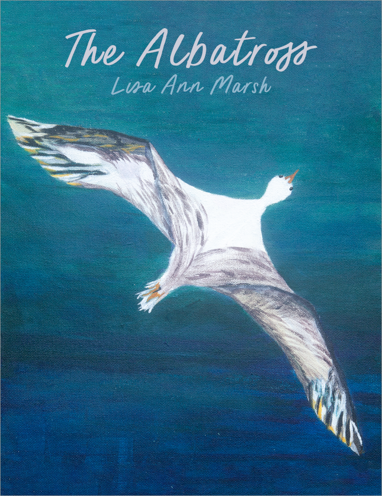 The Albatross